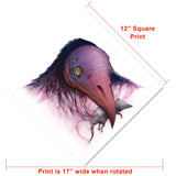 “Vulture” 12×12 print